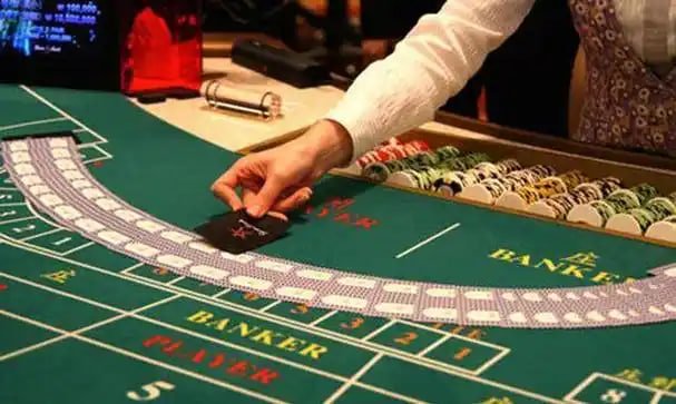 i9bet com